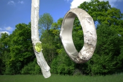 Ring-und-Anhänger-mit-Eichenwald-scaled