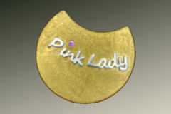 Pink-Lady-fertig-scaled