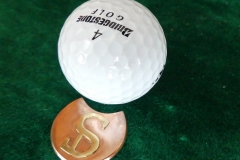 SD