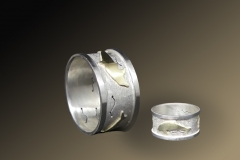 Delfinring