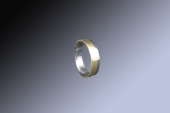Edelstahlring