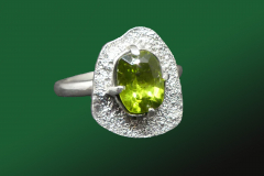 Ring-Feilung-fertig-scaled