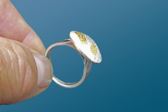 Ring-Keum-boo1-scaled