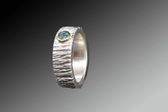 Ring-ferig-scaled