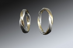 Ringe-fertig1