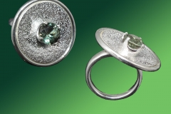 Tellerringbeide-scaled